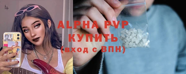 Альфа ПВП Новозыбков