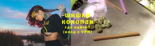 сатива Нягань