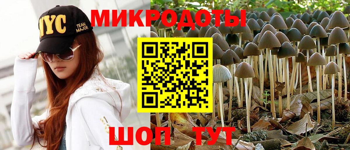 Галлюциногенные грибы Cubensis Белогорск