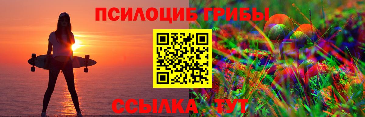 Белогорск  Псилоцибиновые грибы Psilocybine cubensis  Галлюциногенные грибы прущие грибы  Вход с VPN 